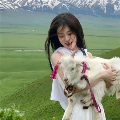 吸血女伯爵