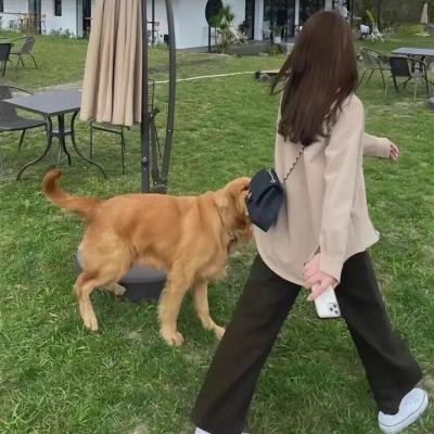 终极绞人环